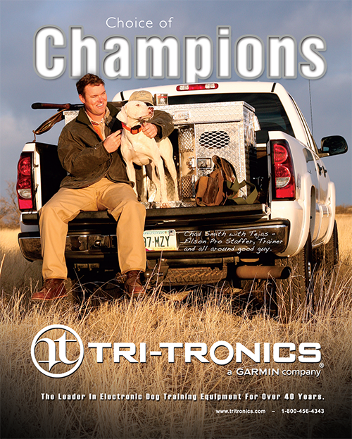 Tri-Tronics – Champions